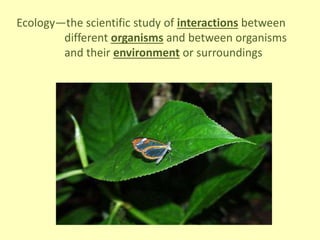 Ecology—the scientific study of interactions between
different organisms and between organisms
and their environment or surroundings
 