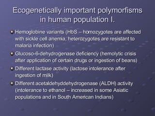 Ecogenetically important polymorfisms in human population I. Hemoglobine variants (HbS – homozygotes are affected with sickle cell anemia, heterozygotes are resistant to malaria infection) Glucoso-6-dehydrogenase deficiency (hemolytic crisis after application of certain drugs or ingestion of beans) Different lactase activity (lactose intolerance after ingestion of milk) Different acetaldehyddehydrogenase (ALDH) activity (intolerance to ethanol – increased in some Asiatic populations and in South American Indians) 