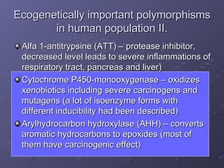 Alfa 1-antitrypsine (ATT) – protease inhibitor, decreased level leads to severe inflammations of respiratory tract, pancreas and liver) Cytochrome P450-monooxygenase – oxidizes xenobiotics including severe carcinogens and mutagens (a lot of isoenzyme forms with different inducibility had been described) Arylhydrocarbon hydroxylase (AHH) – converts aromatic hydrocarbons to epoxides (most of them have carcinogenic effect) Ecogenetically important polymorphisms in human population II. 