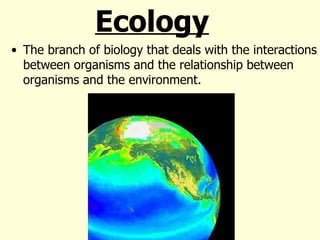 Ecology ,[object Object]