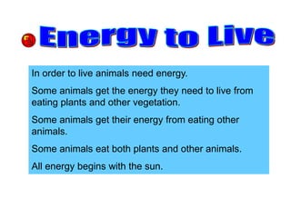 In order to live animals need energy.
Some animals get the energy they need to live from
eating plants and other vegetation.
Some animals get their energy from eating other
animals.
Some animals eat both plants and other animals.
All energy begins with the sun.
 
