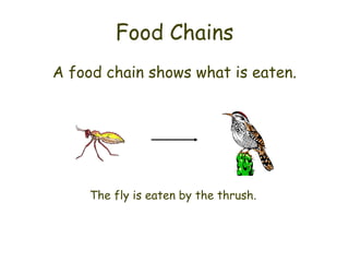 Food Chains
A food chain shows what is eaten.




     The fly is eaten by the thrush.
 