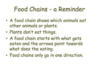 Food Chains - a Reminder
• A food chain shows which animals eat
  other animals or plants.
• Plants don’t eat things.
• A food chain starts with what gets
  eaten and the arrows point towards
  what does the eating.
• Food chains only go in one direction.
 