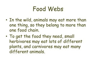 Food Webs
• In the wild, animals may eat more than
  one thing, so they belong to more than
  one food chain.
• To get the food they need, small
  herbivores may eat lots of different
  plants, and carnivores may eat many
  different animals.
 