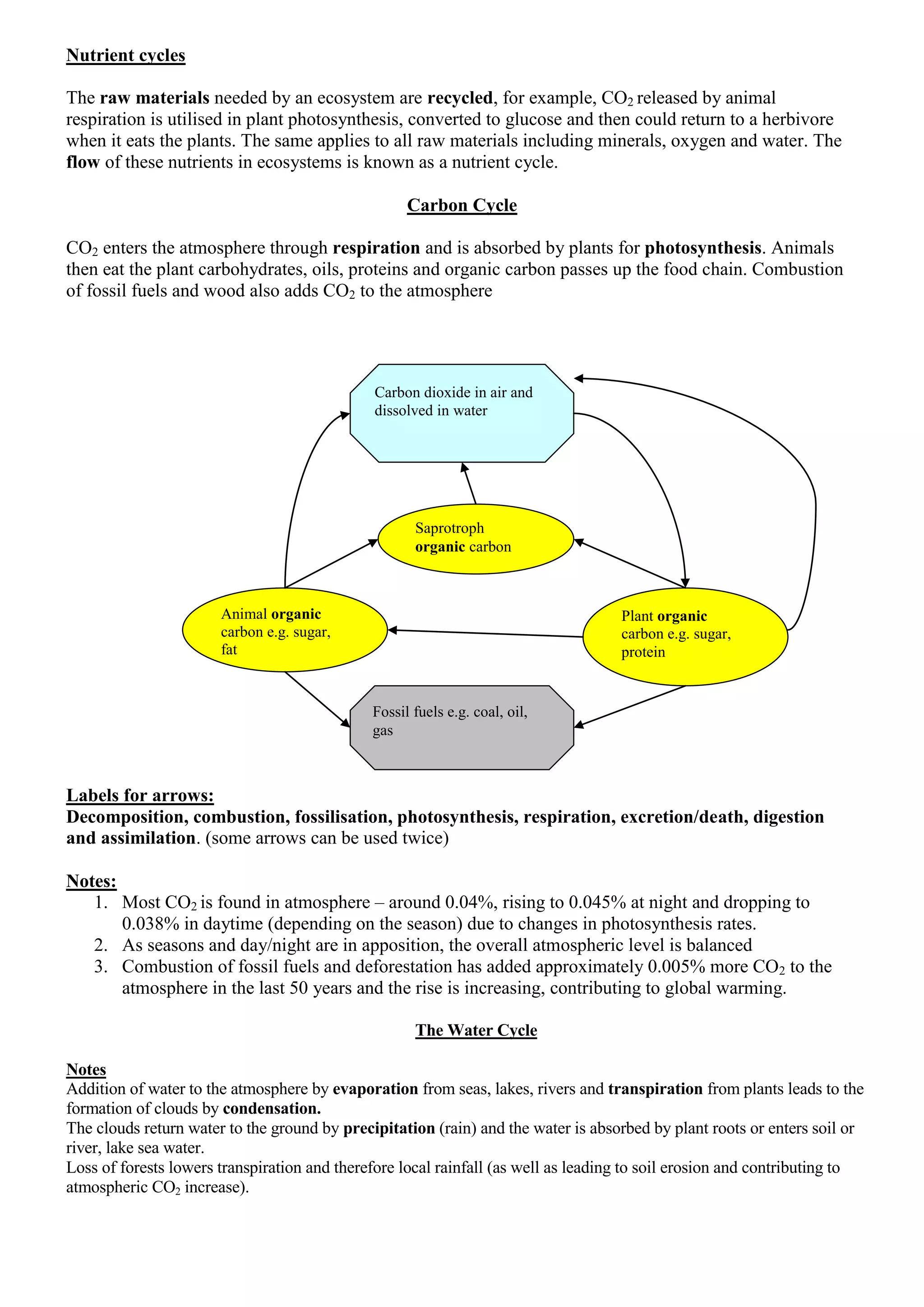 Nutrient cycles
The raw materials needed by an ecosystem are recycled, for example, CO2 released by animal
respiration is utilised in plant photosynthesis, converted to glucose and then could return to a herbivore
when it eats the plants. The same applies to all raw materials including minerals, oxygen and water. The
flow of these nutrients in ecosystems is known as a nutrient cycle.
Carbon Cycle
CO2 enters the atmosphere through respiration and is absorbed by plants for photosynthesis. Animals
then eat the plant carbohydrates, oils, proteins and organic carbon passes up the food chain. Combustion
of fossil fuels and wood also adds CO2 to the atmosphere
Labels for arrows:
Decomposition, combustion, fossilisation, photosynthesis, respiration, excretion/death, digestion
and assimilation. (some arrows can be used twice)
Notes:
1. Most CO2 is found in atmosphere – around 0.04%, rising to 0.045% at night and dropping to
0.038% in daytime (depending on the season) due to changes in photosynthesis rates.
2. As seasons and day/night are in apposition, the overall atmospheric level is balanced
3. Combustion of fossil fuels and deforestation has added approximately 0.005% more CO2 to the
atmosphere in the last 50 years and the rise is increasing, contributing to global warming.
The Water Cycle
Notes
Addition of water to the atmosphere by evaporation from seas, lakes, rivers and transpiration from plants leads to the
formation of clouds by condensation.
The clouds return water to the ground by precipitation (rain) and the water is absorbed by plant roots or enters soil or
river, lake sea water.
Loss of forests lowers transpiration and therefore local rainfall (as well as leading to soil erosion and contributing to
atmospheric CO2 increase).
Carbon dioxide in air and
dissolved in water
Plant organic
carbon e.g. sugar,
protein
Animal organic
carbon e.g. sugar,
fat
Saprotroph
organic carbon
Fossil fuels e.g. coal, oil,
gas
 