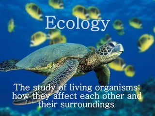Ecology
The study of living organisms;
how they affect each other and
their surroundings.
 