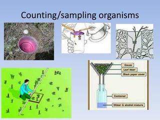 Counting/sampling organisms
 