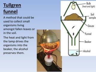Tullgren
funnel
A method that could be
used to collect small
organisms living
amongst fallen leaves or
in the soil.
The heat and light from
the lamp drives the
organisms into the
beaker, the alcohol
preserves them.
 