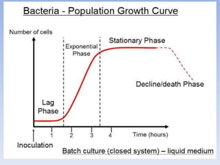 Population curve
 