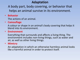 Adaptation
A body part, body covering, or behavior that
helps an animal survive in its environment.
• Behavior
The actions of an animal.
• Camouflage
A colour or shape in an animal's body covering that helps it
blend into its environment.
• Environment
Everything that surrounds and affects a living thing. The
environment includes non-living things, such as water and
air, as well as other living things.
• Mimicry
An adaptation in which an otherwise harmless animal looks
like a harmful animal in order to protect itself.
 