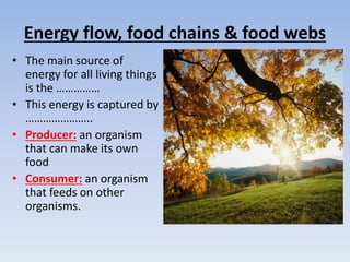 Energy flow, food chains & food webs
• The main source of
energy for all living things
is the ……………
• This energy is captured by
…………………..
• Producer: an organism
that can make its own
food
• Consumer: an organism
that feeds on other
organisms.
 