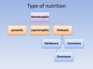 Type of nutrition
Hetrotrophic
parasitic saprotrophic Holozoic
Herbivore Carnivore
Omnivore
 
