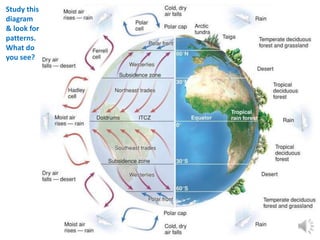 Study this
diagram
& look for
patterns.
What do
you see?
 