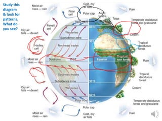 Study this
diagram
& look for
patterns.
What do
you see?
 