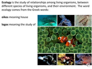 Ecology is the study of relationships among living organisms, between
different species of living organisms, and their environment. The word
ecology comes from the Greek words:
oikos meaning house
logos meaning the study of
 