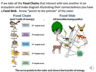 If we take all the Food Chains that interact with one another in an
ecosystem and make diagram illustrating their connectedness you have
a Food Web. Arrow “points to the piehole” of the eater.
 
