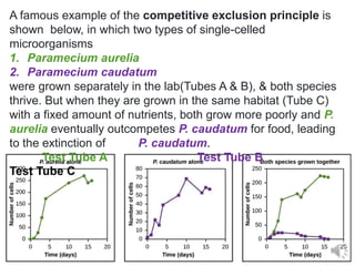 A famous example of the competitive exclusion principle is
shown below, in which two types of single-celled
microorganisms
1. Paramecium aurelia
2. Paramecium caudatum
were grown separately in the lab(Tubes A & B), & both species
thrive. But when they are grown in the same habitat (Tube C)
with a fixed amount of nutrients, both grow more poorly and P.
aurelia eventually outcompetes P. caudatum for food, leading
to the extinction of P. caudatum.
Test Tube A Test Tube B
Test Tube C
 