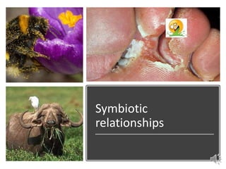 Symbiotic
relationships
 