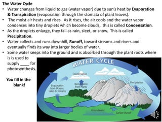 The Water Cycle
• Water changes from liquid to gas (water vapor) due to sun’s heat by Evaporation
& Transpiration (evaporation through the stomata of plant leaves).
• The moist air heats and rises. As it rises, the air cools and the water vapor
condenses into tiny droplets which become clouds, this is called Condensation.
• As the droplets enlarge, they fall as rain, sleet, or snow. This is called
Precipitation.
• Water collects and runs downhill, Runoff, toward streams and rivers and
eventually finds its way into larger bodies of water.
• Some water seeps into the ground and is absorbed through the plant roots where
is is used to
supply ____ for
photosynthesis.
You fill in the
blank!
 