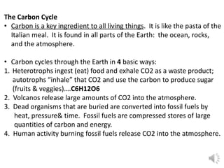The Carbon Cycle
• Carbon is a key ingredient to all living things. It is like the pasta of the
Italian meal. It is found in all parts of the Earth: the ocean, rocks,
and the atmosphere.
• Carbon cycles through the Earth in 4 basic ways:
1. Heterotrophs ingest (eat) food and exhale CO2 as a waste product;
autotrophs “inhale” that CO2 and use the carbon to produce sugar
(fruits & veggies)….C6H12O6
2. Volcanos release large amounts of CO2 into the atmosphere.
3. Dead organisms that are buried are converted into fossil fuels by
heat, pressure& time. Fossil fuels are compressed stores of large
quantities of carbon and energy.
4. Human activity burning fossil fuels release CO2 into the atmosphere.
 