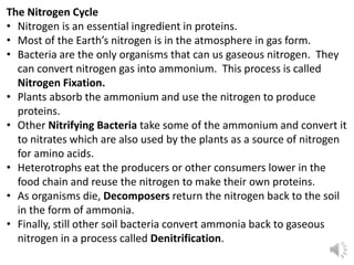 The Nitrogen Cycle
• Nitrogen is an essential ingredient in proteins.
• Most of the Earth’s nitrogen is in the atmosphere in gas form.
• Bacteria are the only organisms that can us gaseous nitrogen. They
can convert nitrogen gas into ammonium. This process is called
Nitrogen Fixation.
• Plants absorb the ammonium and use the nitrogen to produce
proteins.
• Other Nitrifying Bacteria take some of the ammonium and convert it
to nitrates which are also used by the plants as a source of nitrogen
for amino acids.
• Heterotrophs eat the producers or other consumers lower in the
food chain and reuse the nitrogen to make their own proteins.
• As organisms die, Decomposers return the nitrogen back to the soil
in the form of ammonia.
• Finally, still other soil bacteria convert ammonia back to gaseous
nitrogen in a process called Denitrification.
 