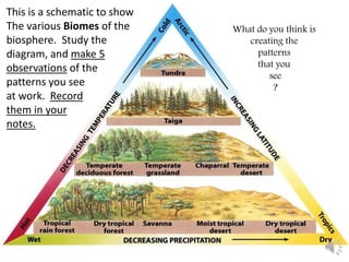 This is a schematic to show
The various Biomes of the
biosphere. Study the
diagram, and make 5
observations of the
patterns you see
at work. Record
them in your
notes.
What do you think is
creating the
patterns
that you
see
?
 