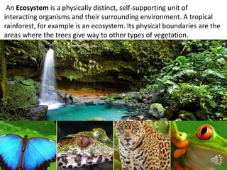 An Ecosystem is a physically distinct, self-supporting unit of
interacting organisms and their surrounding environment. A tropical
rainforest, for example is an ecosystem. Its physical boundaries are the
areas where the trees give way to other types of vegetation.
 