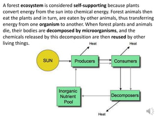 A forest ecosystem is considered self-supporting because plants
convert energy from the sun into chemical energy. Forest animals then
eat the plants and in turn, are eaten by other animals, thus transferring
energy from one organism to another. When forest plants and animals
die, their bodies are decomposed by microorganisms, and the
chemicals released by this decomposition are then reused by other
living things.
 