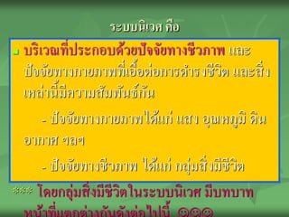 ระบบนิเวศ คือ
 บริ เวณที่ประกอบด้วยปัจจัยทางชีวภาพ และ
  ปัจจัยทางกายภาพที่เอื้อต่อการดารงชีวต และสิ่ ง
                                            ิ
  เหล่านี้มีความสัมพันธ์กน ั
       - ปั จจัยทางกายภาพได้แก่ แสง อุณหภูมิ ดิน
  อากาศ ฯลฯ
       - ปั จจัยทางชีวภาพ ได้แก่ กลุ่มสิ่ งมีชีวต
                                                ิ
*** โดยกลุ่มสิ่ งมีชีวตในระบบนิ เวศ มีบทบาท
                       ิ
 