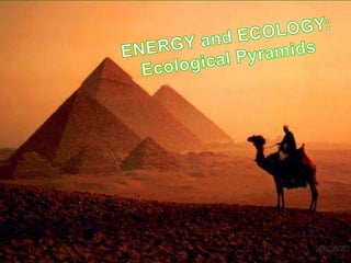 ENERGY and ECOLOGY: Ecological Pyramids 