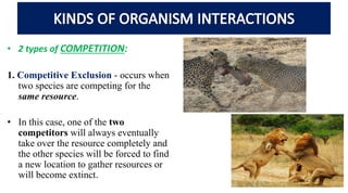 Ecology 407 Organism and their Interaction with their environment | PPTX