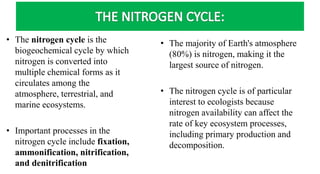 • The nitrogen cycle is the
biogeochemical cycle by which
nitrogen is converted into
multiple chemical forms as it
circulates among the
atmosphere, terrestrial, and
marine ecosystems.
• Important processes in the
nitrogen cycle include fixation,
ammonification, nitrification,
and denitrification
• The majority of Earth's atmosphere
(80%) is nitrogen, making it the
largest source of nitrogen.
• The nitrogen cycle is of particular
interest to ecologists because
nitrogen availability can affect the
rate of key ecosystem processes,
including primary production and
decomposition.
 
