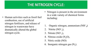 • Human activities such as fossil fuel
combustion, use of artificial
nitrogen fertilizers, and release of
nitrogen in wastewater have
dramatically altered the global
nitrogen cycle.
• Nitrogen is present in the environment
in a wide variety of chemical forms
including:
1. Organic nitrogen, ammonium (NH+
4)
2. Nitrite (NO−
2),
3. Nitrate (NO−
3),
4. Nitrous oxide (N2O),
5. Nitric oxide (NO)
6. Inorganic nitrogen gas (N2).
 