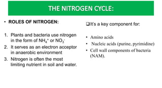 • ROLES OF NITROGEN:
1. Plants and bacteria use nitrogen
in the form of NH4
+ or NO3
-
2. It serves as an electron acceptor
in anaerobic environment
3. Nitrogen is often the most
limiting nutrient in soil and water.
It’s a key component for:
• Amino acids
• Nucleic acids (purine, pyrimidine)
• Cell wall components of bacteria
(NAM).
 