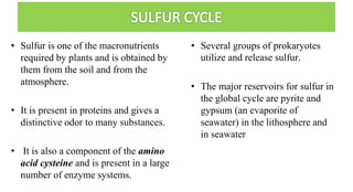 • Sulfur is one of the macronutrients
required by plants and is obtained by
them from the soil and from the
atmosphere.
• It is present in proteins and gives a
distinctive odor to many substances.
• It is also a component of the amino
acid cysteine and is present in a large
number of enzyme systems.
• Several groups of prokaryotes
utilize and release sulfur.
• The major reservoirs for sulfur in
the global cycle are pyrite and
gypsum (an evaporite of
seawater) in the lithosphere and
in seawater
 