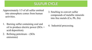 Approximately 1/3 of all sulfur emitted
into atmosphere comes from human
activities.
1. Burning sulfur containing coal and
oil to produce electric power (SOx =
acid deposition).
2. Refining petroleum – (SOx
emissions)
3. Smelting to convert sulfur
compounds of metallic minerals
into free metals (Cu, Pb, Zn)
4. Industrial processing.
 