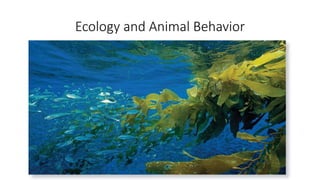 Ecology and Animal Behavior
 
