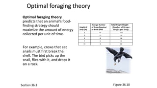 Ecology and animal behavior | PPTX | Genetics | Science