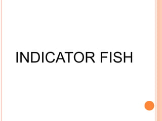ECOLOGY AND BIOLOGY OF FISH.pptx
