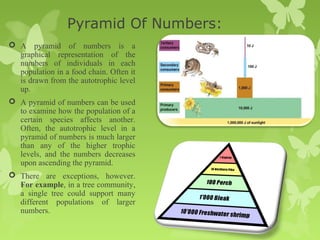 Ecologyandecosystem 141103053114-conversion-gate02 | PPT