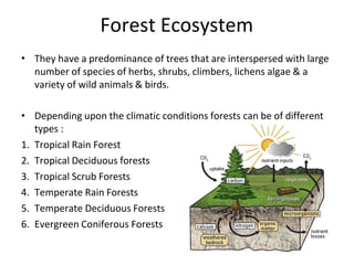 Forest Ecosystem
• They have a predominance of trees that are interspersed with large
number of species of herbs, shrubs, climbers, lichens algae & a
variety of wild animals & birds.
• Depending upon the climatic conditions forests can be of different
types :
1. Tropical Rain Forest
2. Tropical Deciduous forests
3. Tropical Scrub Forests
4. Temperate Rain Forests
5. Temperate Deciduous Forests
6. Evergreen Coniferous Forests
 