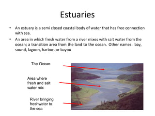 Estuaries
• An estuary is a semi closed coastal body of water that has free connection
with sea.
An area in which fresh water from a river mixes with salt water from the
ocean; a transition area from the land to the ocean. Other names: bay,
sound, lagoon, harbor, or bayou
•
The Ocean
Area where
fresh and salt
water mix
River bringing
freshwater to
the sea
 