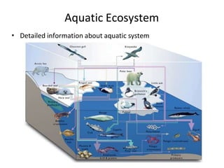 Aquatic Ecosystem
• Detailed information about aquatic system
 
