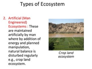 Types of Ecosystem
2. Artificial (Man
Engineered)
Ecosystems : These
are maintained
artificially by man
where by addition of
energy and planned
manipulation,
natural balance is
disturbed regularly
e.g., crop land
ecosystem.
Crop land
ecosystem
 