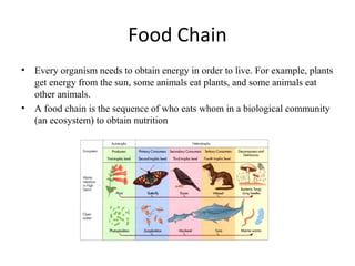 Food Chain 
• Every organism needs to obtain energy in order to live. For example, plants 
get energy from the sun, some a...