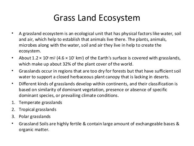 ecosystems and how they work essay Ecosystems and how they work choose 1 of the following ecosystems: tropical rainforest grassland coral reef estuary desert. ecosystems and how they work essay Ecosystems and how they work choose 1 of the following ecosystems: tropical rainforest grassland coral reef estuary desert.