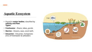 Ecology- Importance and types of ecosystem.pptx