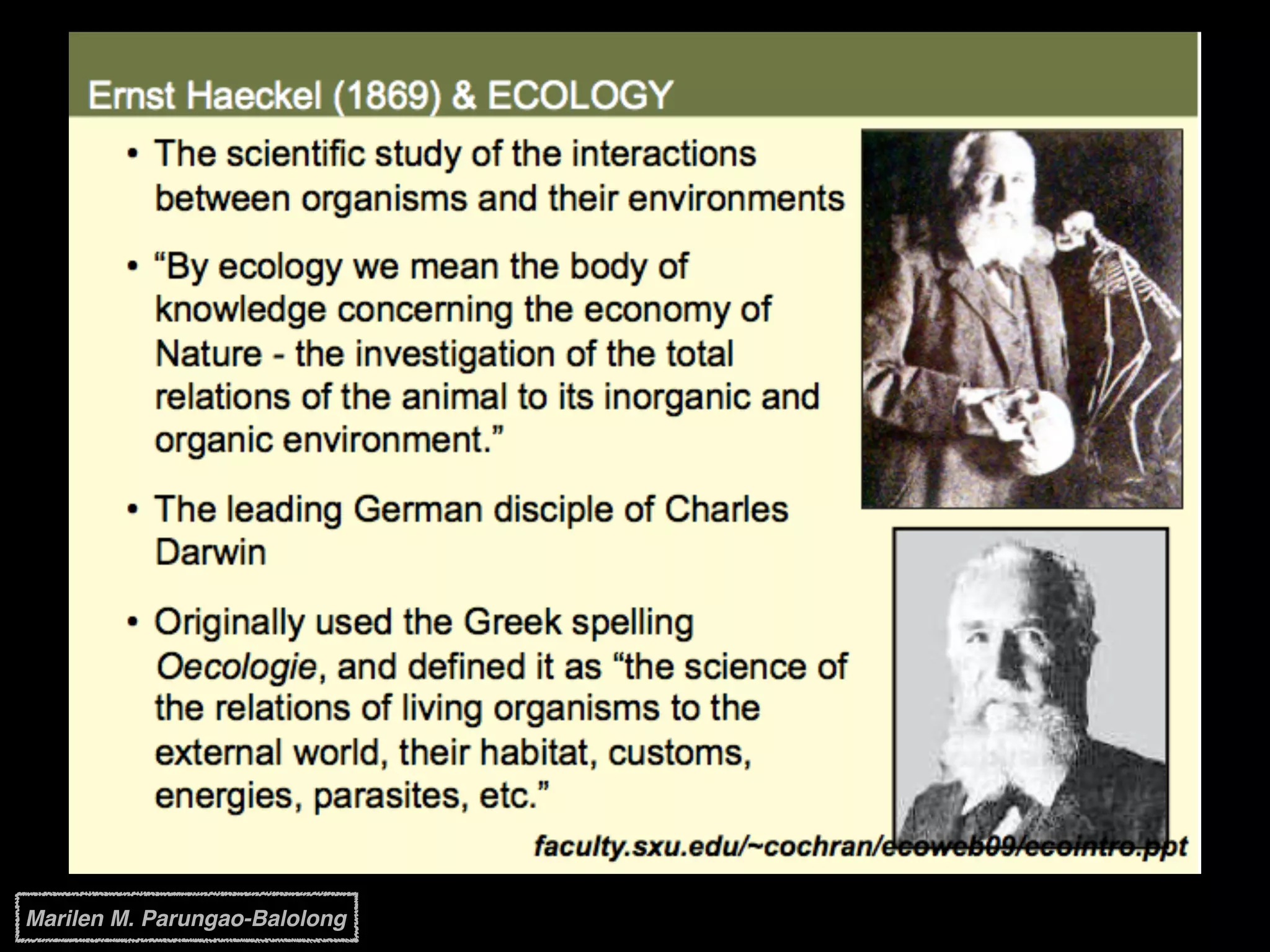 Marilen M. Parungao-Balolong
 