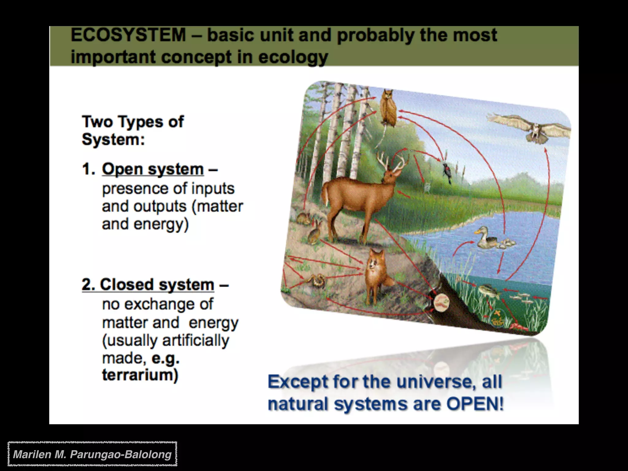 Marilen M. Parungao-Balolong
 