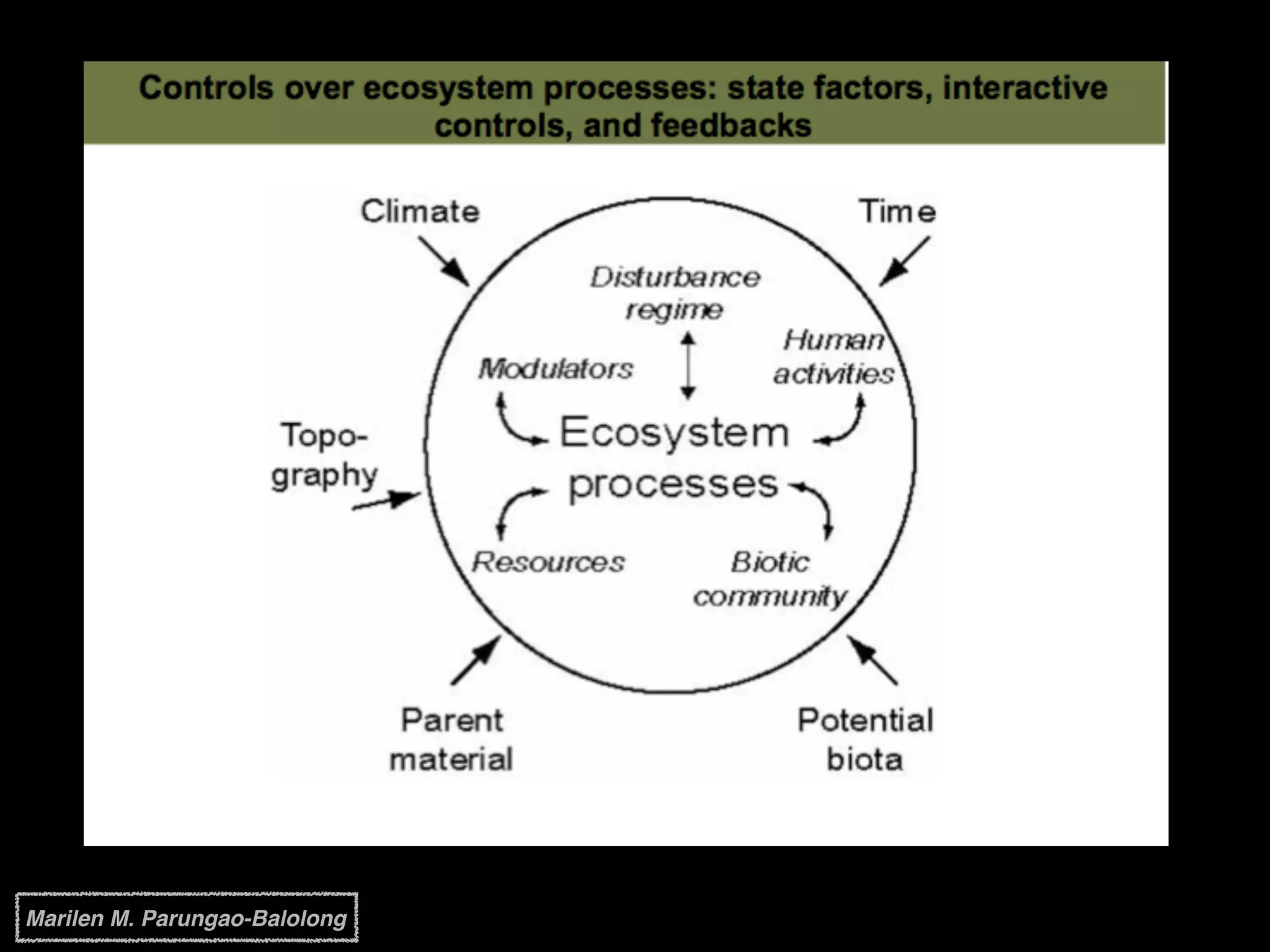 Marilen M. Parungao-Balolong
 